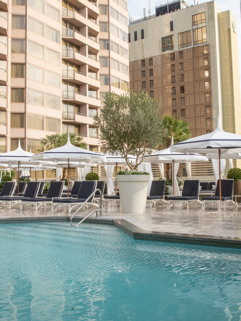 Meetings & Events - The Windsor Court